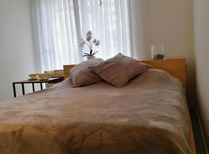 Paula* Guest house Locarno