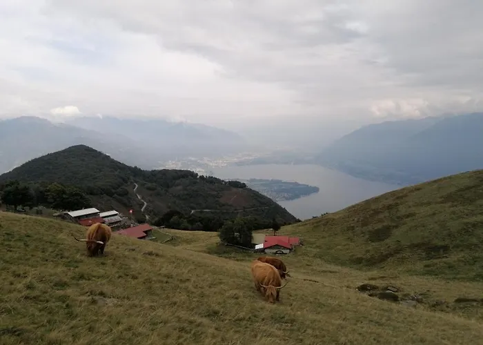 Paula* בית הארחה לוקרנו