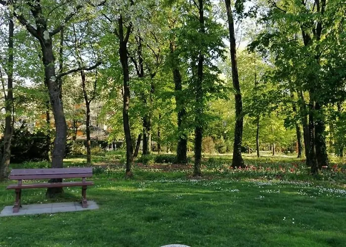 Paula* * לוקרנו