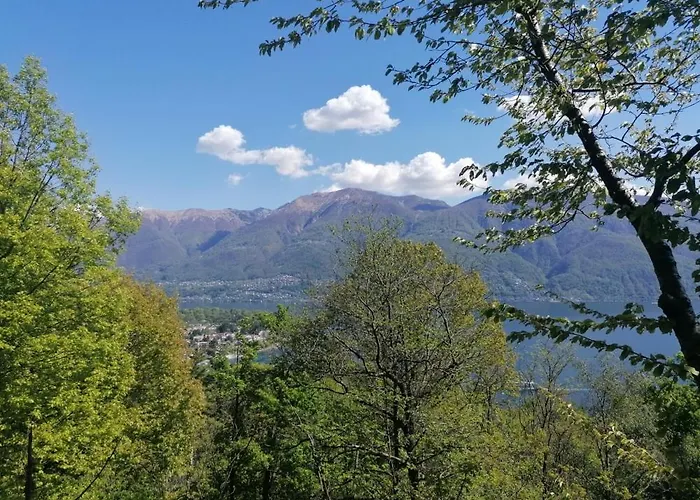 Paula* * לוקרנו