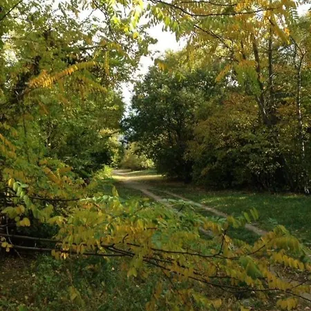 Paula* Affittacamere *