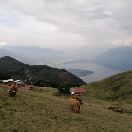 Paula* Pensjonat Locarno