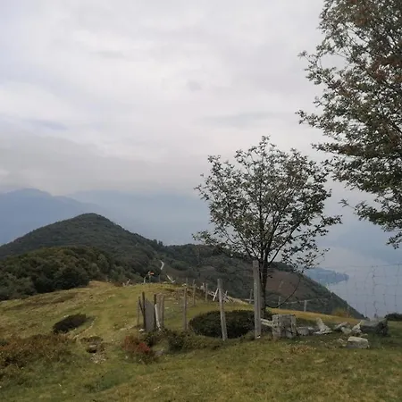 Paula* Locarno